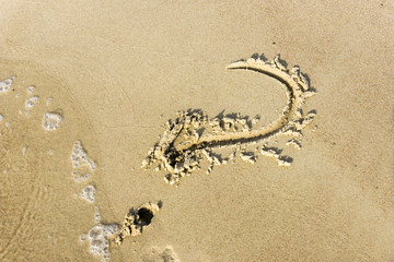 Question sign written in the sand on a sunset beach