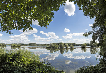 river Rhine near Walluf with reflection of clouds