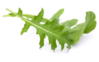 Close up studio shot of green fresh rucola leaves isolated on white background. Rocket salad or arugula.