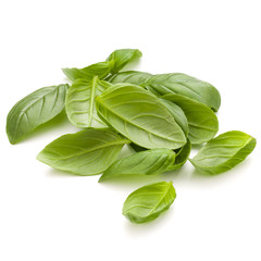 Sweet basil herb leaves handful isolated on white background closeup