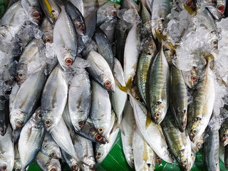 Khao Lak, Thailand - May 10th 2017: Various fish on sale at the local market