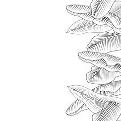 Naklejka premium Seamless tropical vertical gorizontal border with image of a Banana leaves. Vector black and white illustration can used for design invitation card, prints, textile, wedding invitation and other.