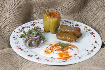 Sarma/ Stuffed Vine Rolls and Dolma/ Stuffed Green Pepper with Yoghurt and Sliced Red Onion on a White Plate