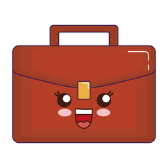 business briefcase icon