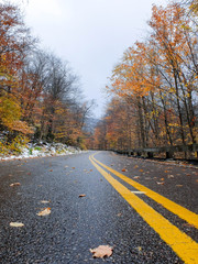 Obraz premium First Snow of Winter 