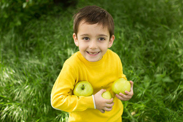 Cute little boy picking apples in a green grass background at sunny day. Healthy nutrition.