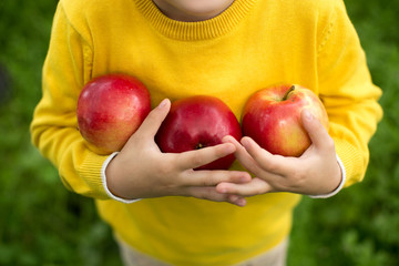 Cute little boy picking apples in a green grass background at sunny day. Healthy nutrition.
