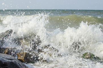 Sea wave at sea in summer