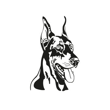 Vector image of head dog Doberman. Black and white silhouette.