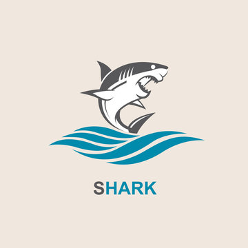 icon of angry shark with sea waves