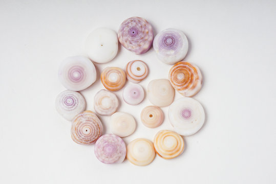 Set of Hawaiian Puka Shells