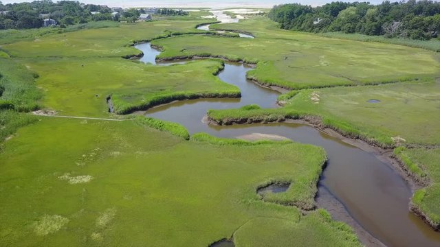 Wetland on Cape Cod, Massachusets