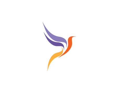 Hummingbird Logo Template