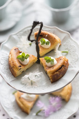 チョコチップのチーズケーキ