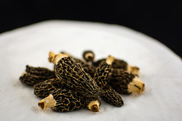 Morels