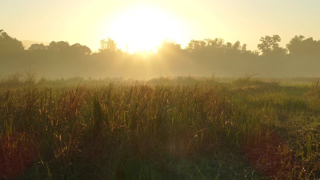 Farmland sunrise landscape in the Philippines