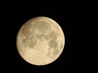 moon, full moon, lunar, night, dark, science, sphere,  planet, sky, space, craters,  astronomy