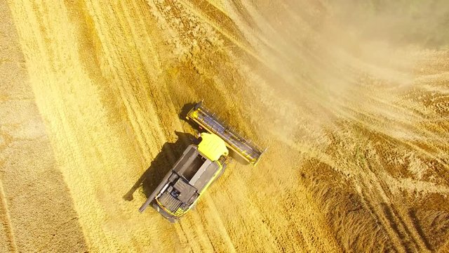 Aerial view of combine harvester. Harvest of wheat field. Industrial footage on agricultural theme. Biofuel production from above. Agriculture and environment in European Union. 