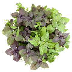 Fresh spices and herbs bouquet isolated on white background cutout. Sweet basil, red basil leaves,...