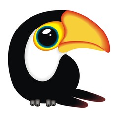 toucan