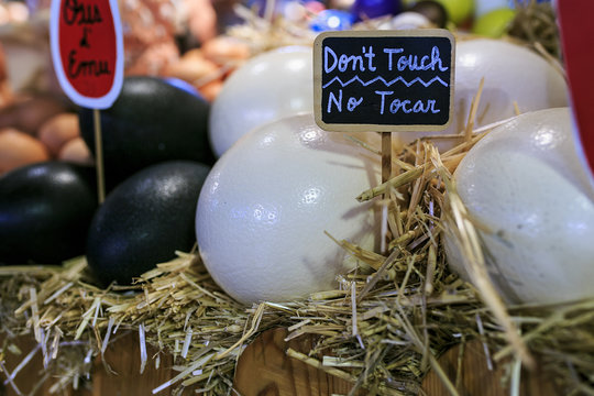 ostrich and emur eggs in a market