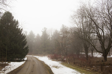 Foggy Trail 