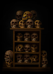 Genocides, Stacked human skulls at the Killing Fields