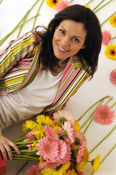 Gerberat Gerbera 大丁草属 Гербера جربارة Flora জার্বেরা Primavera flor Գերբերա ガーベラ Jerbera Chi Đồng tiền 