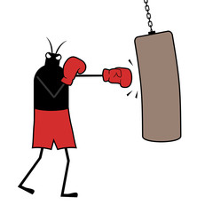 Boxer insect illustration © RATOCA