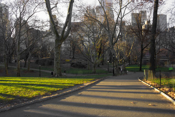 New York City Central Park