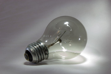 bulb 