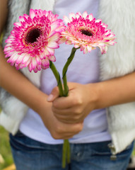 Fototapeta na wymiar Young girls hands holding pick and white flowers