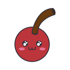 cherry fruit icon