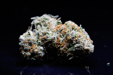 cannabis bud