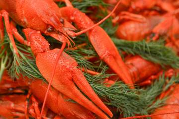 Boiled crayfish with dill. Seafood. Snack to beer.