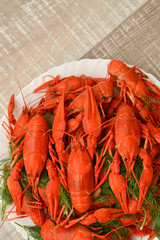 Boiled river crayfish on a plate. Seafood. Snack to beer.