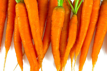 fresh carrots on white background