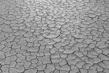 Black and white dry soil with crack texture of natural background