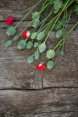 poppy heads on wooden surface