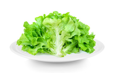 Lettuce in plate on white background