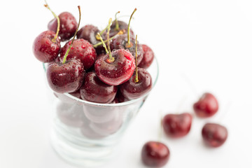 Sweet Fresh Red Cherries with Water Drops on White Background