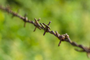 Rusty barbed wire. Small DOF. Focus on the center.