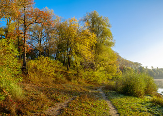 Autumn landscape