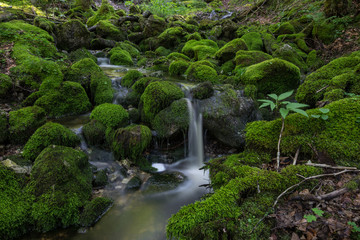 Fototapeta na wymiar Wasserfall mit Moos 7