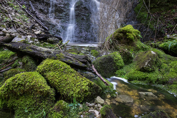 Wasserfall mit Moos 6