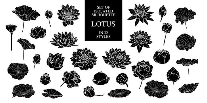 Set of isolated silhouette lotus in 32 styles. Vector illustration.