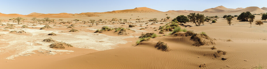 Dunes in the Namib Desert / Dunes in the Namib Desert to the horizon, Namibia, Africa.