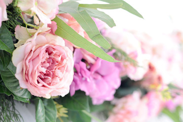 flower bush - pink flower