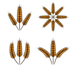 wheat vector template