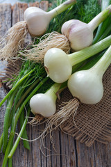 fresh onion and garlic on wooden surface